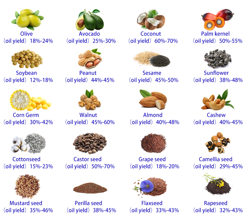 Oil seeds.jpg