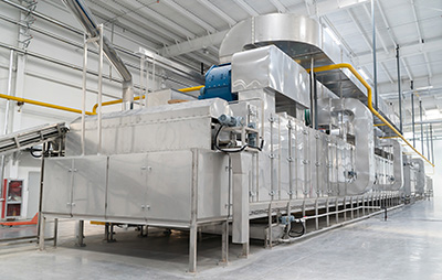 Apple/carrot dryer 